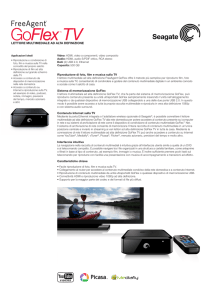 Seagate GoFlex TV