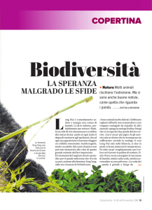 copertina - cooperazione