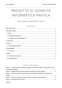 progetto di idoneità informatica pratica