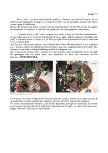 INNESTO Salve a tutti,,,,,inserisco questa piccola guida per illustrare