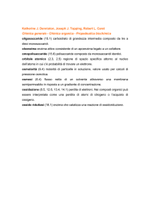 Glossario O - Ateneonline