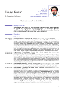 Sviluppatore Software