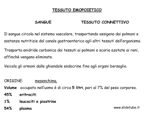 TESSUTO EMOPOIETICO Il sangue circola nel sistema vascolare