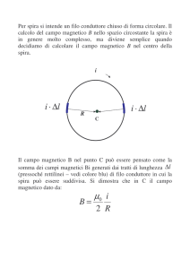Il campo magnetico di una spira percorsa da corrente