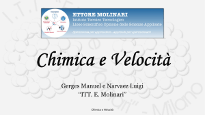 visualizza