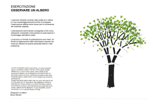 esercitazione osservare un albero