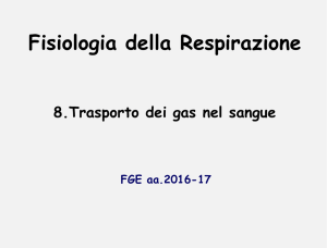 13_Respirazione 07