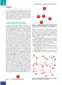 1 - EdiSES