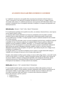Metaplasia Displasia Neoplasia