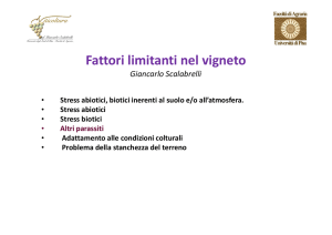 Fattori limitanti nel vigneto