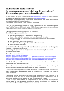 Descrizione della sindrome, test e link utili.