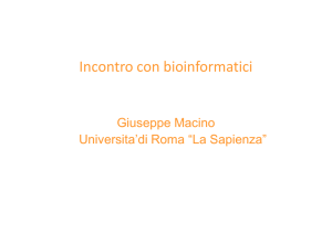 lucidi intervento Macino