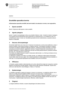 Encefalite sporadica bovina