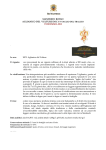Scarica la scheda del vino 2013