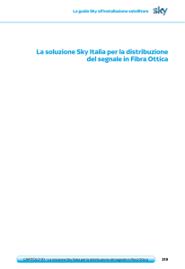 Manuale Sky Fibra Ottica