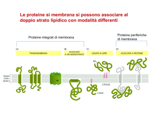 Lezione 8