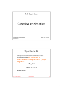 Cinetica enzimatica