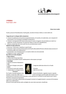 i fossili