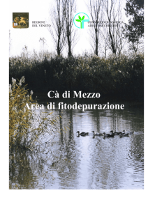 Cà di Mezzo Area di fitodepurazione