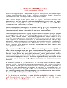 allergia agli insetti - Analisi Cliniche Cimatti Roma