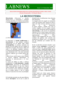 la microcitemia - Centro Diagnostico Gamma