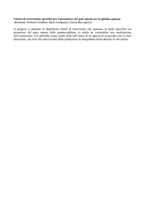 Fattori di trascrizione specifici per il promotore dei geni per la