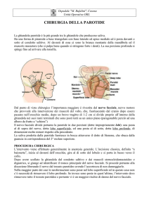 chirurgia della parotide