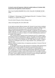 La lassità cronica del legamento collaterale mediale influenza il