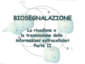 Biosegnalazione II