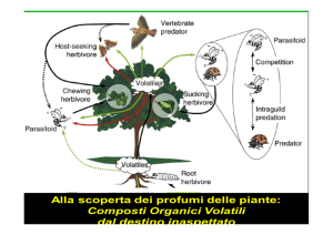 linguaggio chimico delle piante
