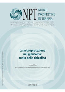 Imp NPTSup Citicolina 5