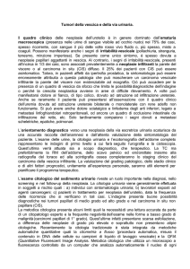 Sintomatologia dei tumori vescicali