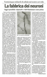 La fabbrica dei neuroni - Associazione Alzheimer Monza e Brianza