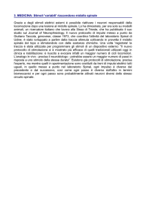 3. MEDICINA: Stimoli `variabili` riaccendono midollo spinale Grazie a
