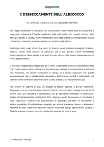 La batteriosi dell`albicocco