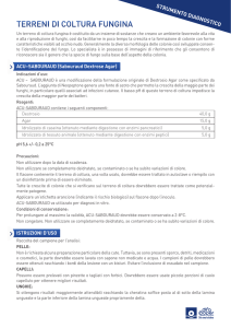 terreni di coltura fungina