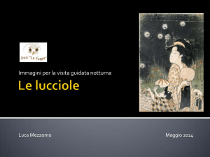 Le lucciole - Oasi le Foppe