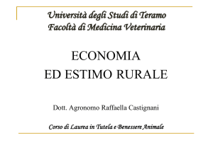 Matematica Finanziaria [Sola lettura] - Progetto e