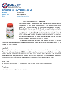 cotidierbe 100 compresse da 400 mg