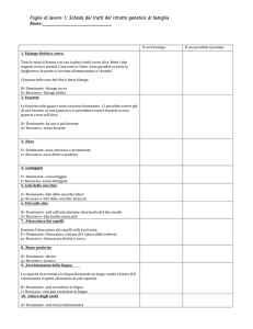 Foglio di lavoro 1: Scheda dei tratti del ritratto genetico di famiglia