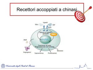 Recettori accoppiati a chinasi