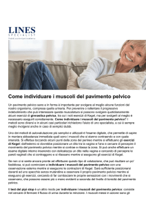 Come individuare i muscoli del pavimento pelvico