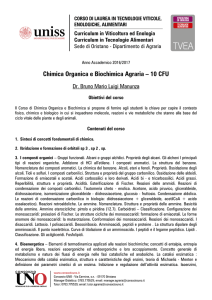 Programma - Consorzio UNO