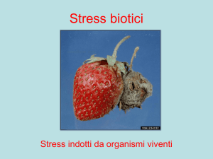 Diapositiva 1