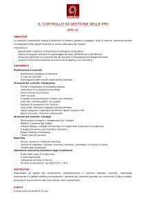 amfi 02 - il controllo di gestione nelle pmi