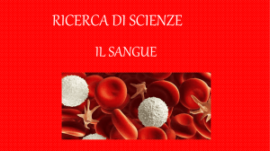 IL SANGUE E LA DIFESA - Istituto comprensivo di Albiate e
