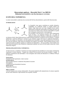Biotecnologie applicate – Biocatalisi Mod. C (aa 2009/10) Riduzioni
