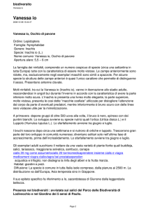 Vanessa io - biodiversità
