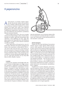 BIF_3B:Layout 1.qxd