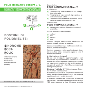 POLIO INIZIATIVE EUROPA e. V. POLIO INIZIATIVE EUROPA e. V.